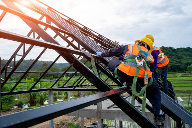 Best Roof Maintenance Services  in Crainvle, IL
