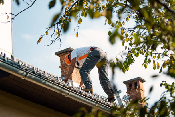 Best Roof Gutter Cleaning  in Crainvle, IL