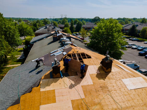 Best Commercial Roofing Services  in Crainvle, IL