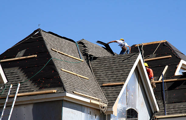 Best Local Roofing Companies  in Crainvle, IL