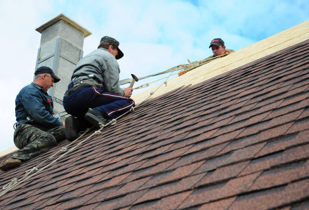 Best Tile Roofing Contractor  in Crainvle, IL